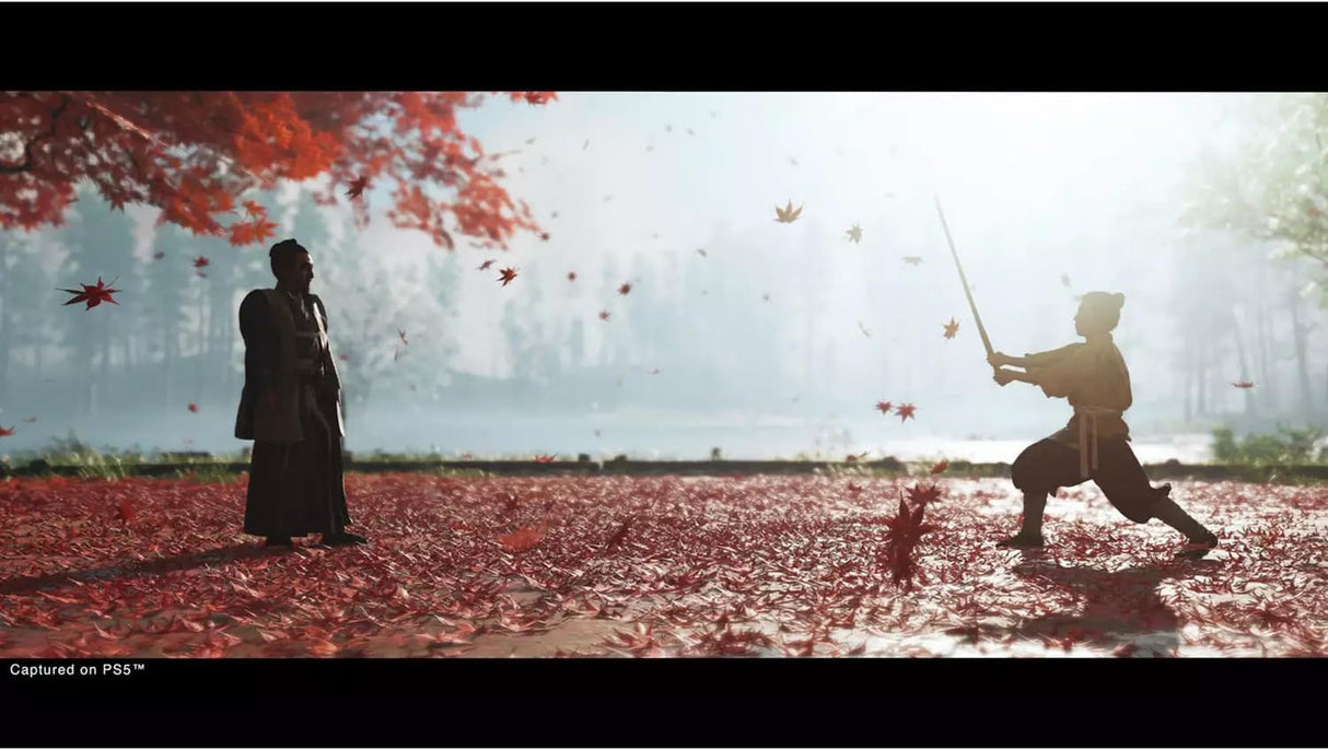 Ghost of Tsushima: Directors Cut PS5