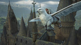 Hogwarts Legacy - Switch 2 Code in Box