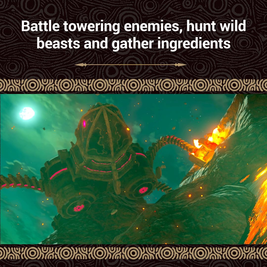 The Legend of Zelda: Breath of the Wild  - Switch