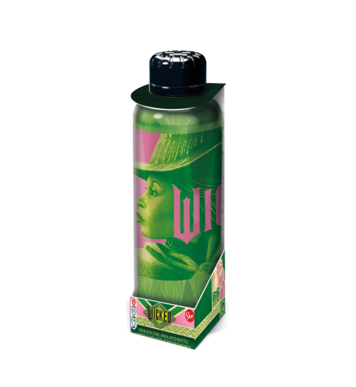 Wicked Elphaba & Glinda Stainless Steel Water Bottle 500ml